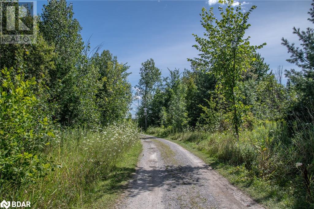 Lot 250 Mcguire Beach Road, Kawartha Lakes, Ontario  K0M 2B0 - Photo 18 - 40469331