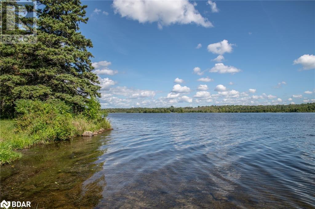 Lot 250 Mcguire Beach Road, Kawartha Lakes, Ontario  K0M 2B0 - Photo 21 - 40469331