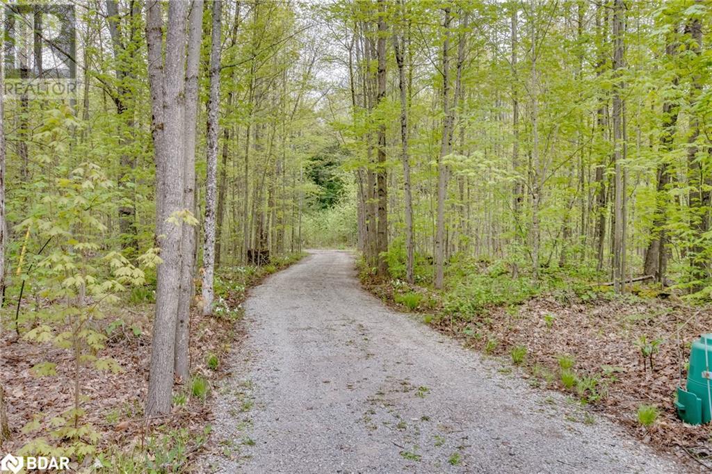 1954 South Beaver Lake Lane Lane, Minden, Ontario  K0M 2K0 - Photo 21 - 40589951