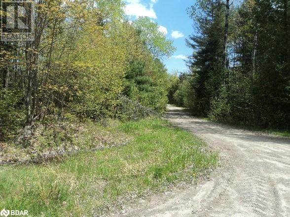 Pt Lt 147 (Pin 520520411) Rye Road, South River, Ontario  P0A 1X0 - Photo 30 - 40594939