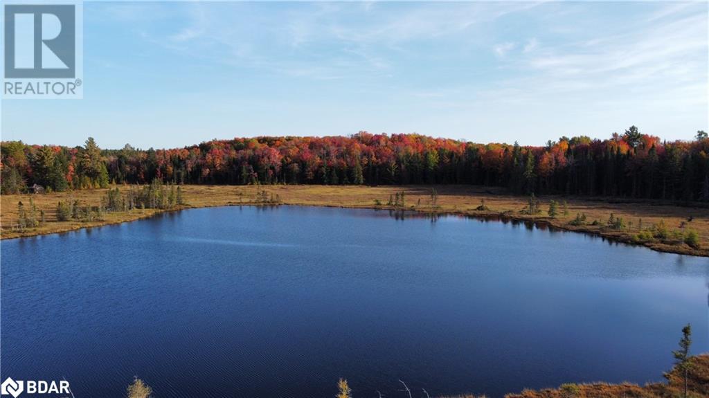 111 Rose Lake Road, Utterson, Ontario  P0B 1M0 - Photo 2 - 40599646