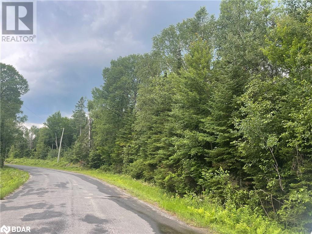 Lot 3 & 4- N/a Hadlington Road, Highlands East, Ontario  K0L 2Y0 - Photo 2 - 40602700