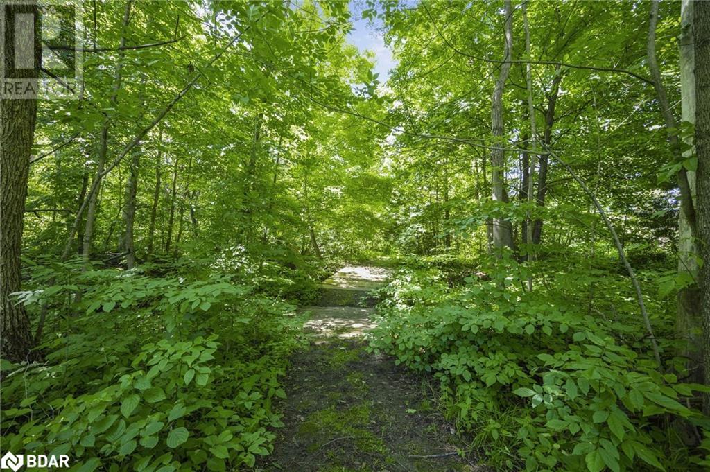 185 Medonte Sideroad 2, Oro-Medonte, Ontario  L0K 1E0 - Photo 31 - 40608060