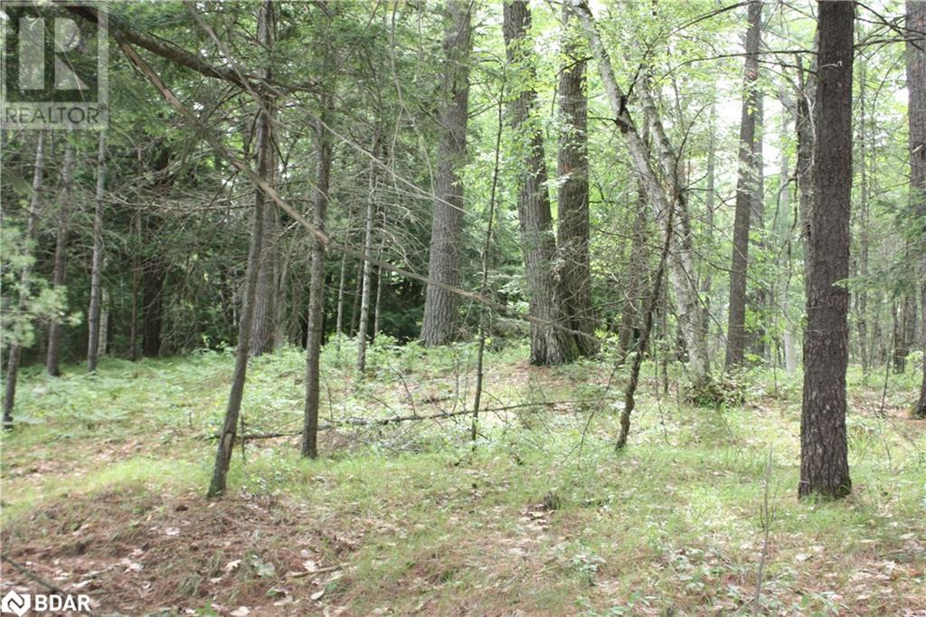 0-Wao Kasshabog Lake Unit# Lot 2, Havelock, Ontario  K0L 2H0 - Photo 11 - 40608957