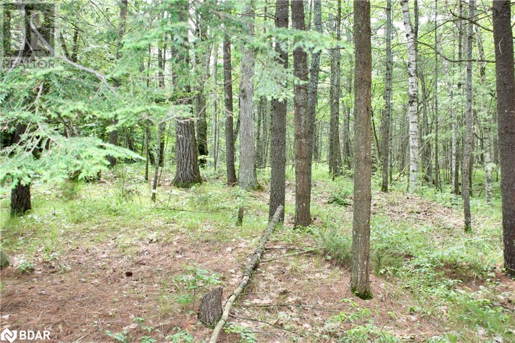 0-Wao Kasshabog Lake Unit# Lot 2, Havelock, Ontario  K0L 2H0 - Photo 6 - 40608957