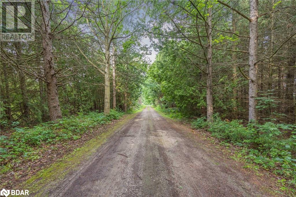 8296 8th Line, Essa, Ontario  L0M 1T0 - Photo 2 - 40619071