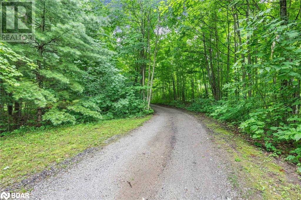 1241 Bass Lake Sideroad E, Oro-Medonte, Ontario  L0L 1T0 - Photo 49 - 40616170