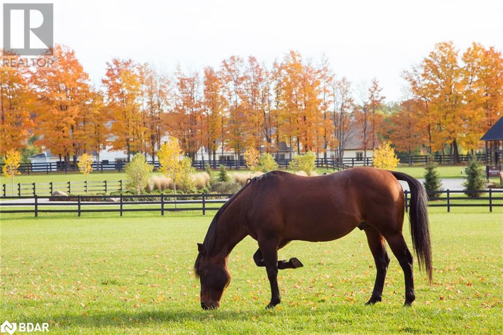 Lt 222 Friesian Court, Oro-Medonte, Ontario  L0K 1E0 - Photo 16 - 40625518