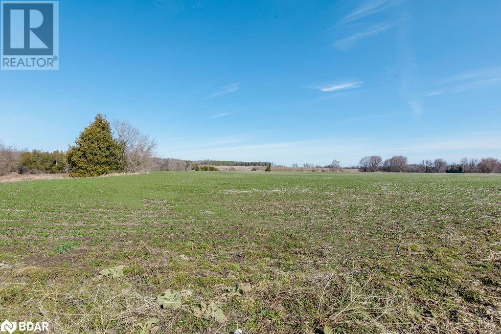 7468 25th Sideroad Side Road, Adjala-Tosorontio, Ontario  L9R 1V1 - Photo 21 - 40631447