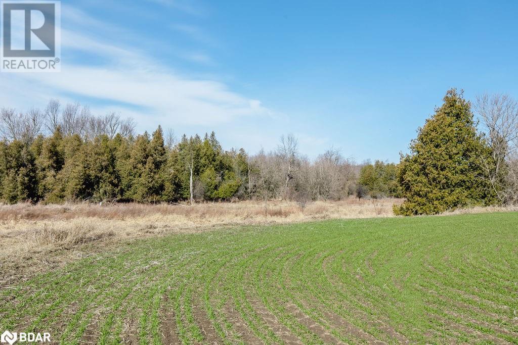 7468 25th Sideroad Side Road, Adjala-Tosorontio, Ontario  L9R 1V1 - Photo 22 - 40631447