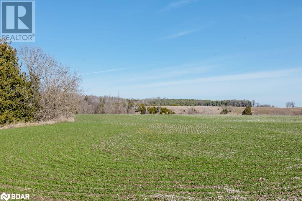 7468 25th Sideroad Side Road, Adjala-Tosorontio, Ontario  L9R 1V1 - Photo 23 - 40631447