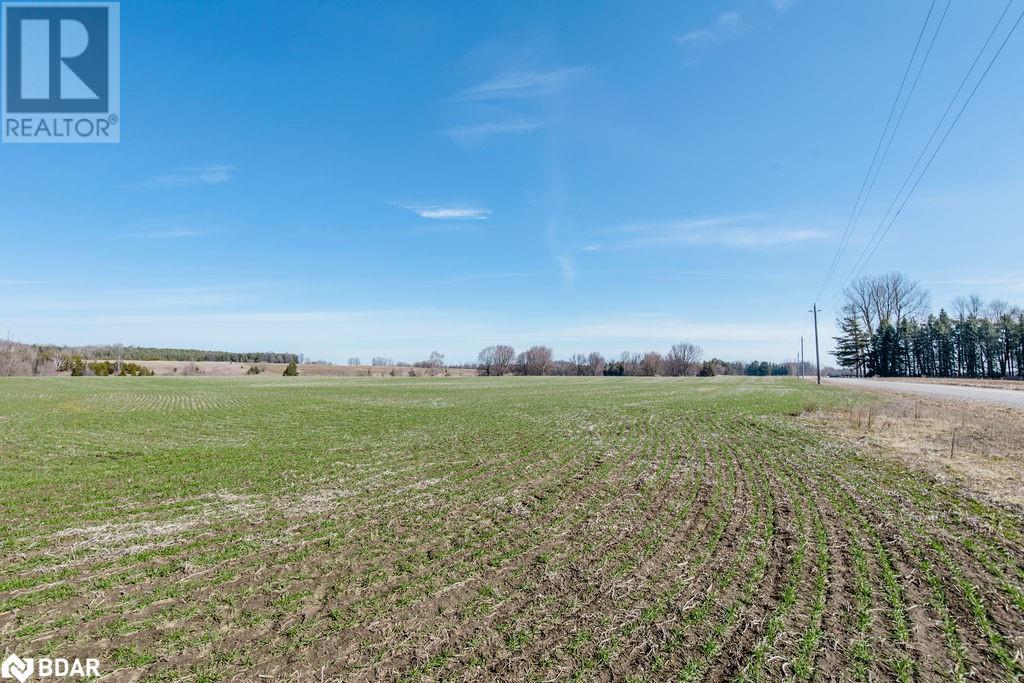 7468 25th Sideroad Side Road, Adjala-Tosorontio, Ontario  L9R 1V1 - Photo 24 - 40631447