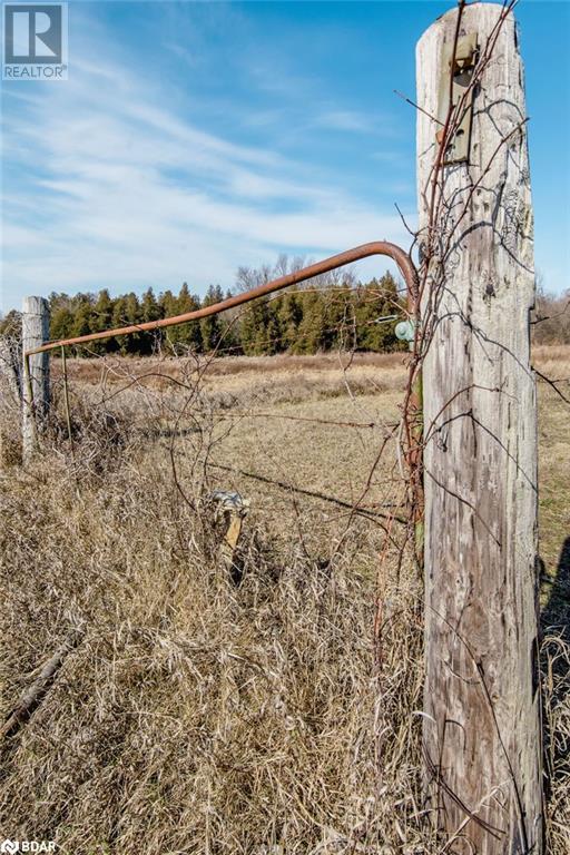 7468 25th Sideroad Side Road, Adjala-Tosorontio, Ontario  L9R 1V1 - Photo 25 - 40631447