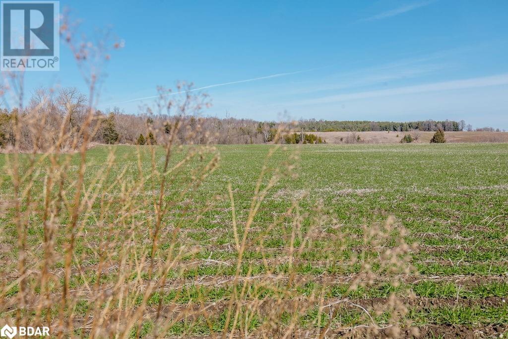 7468 25th Sideroad Side Road, Adjala-Tosorontio, Ontario  L9R 1V1 - Photo 28 - 40631447