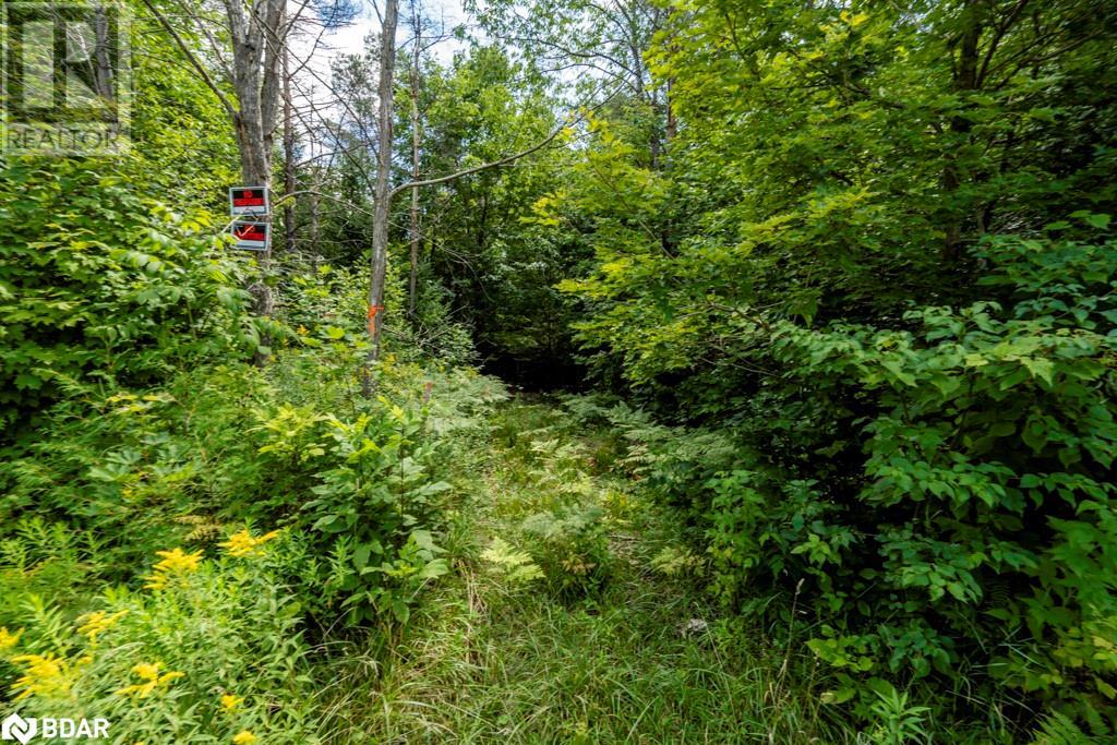 5349 30th Side Road, Essa, Ontario  L0M 1T0 - Photo 11 - 40633364