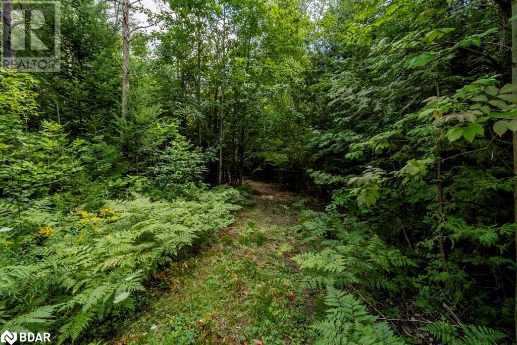 5349 30th Side Road, Essa, Ontario  L0M 1T0 - Photo 12 - 40633364