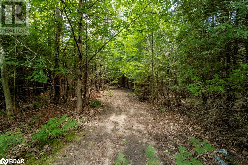 5349 30th Side Road, Essa, Ontario  L0M 1T0 - Photo 13 - 40633364