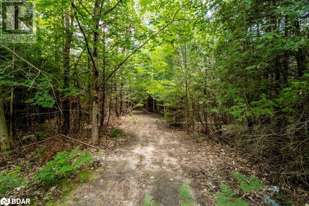 5349 30th Side Road, Essa, Ontario  L0M 1T0 - Photo 14 - 40633364