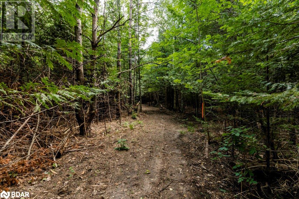 5349 30th Side Road, Essa, Ontario  L0M 1T0 - Photo 15 - 40633364