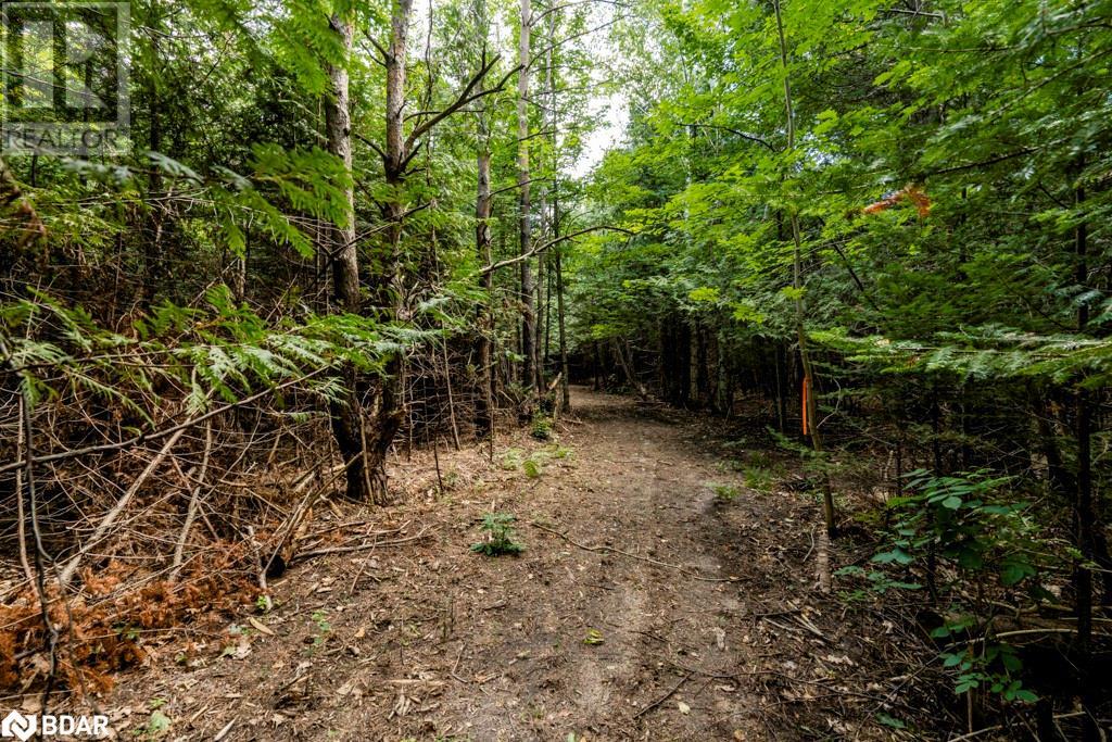 5349 30th Side Road, Essa, Ontario  L0M 1T0 - Photo 16 - 40633364