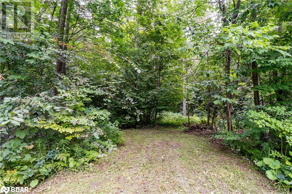 Lot 12 Shier Avenue, Brock, Ontario  L0K 1A0 - Photo 6 - 40635269