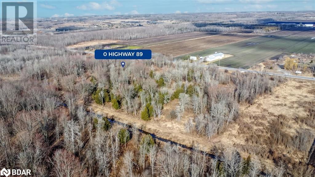 0 County Rd 89, Innisfil, Ontario  L0L 1L0 - Photo 2 - 40638347