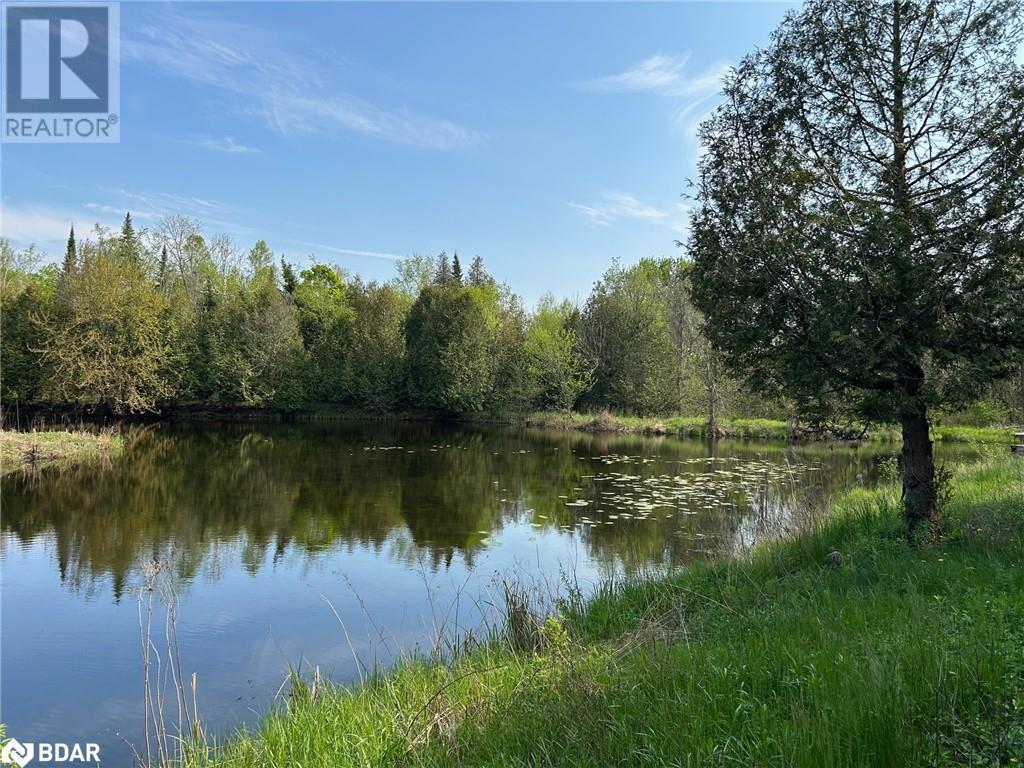 810 4th Line, Douro-Dummer, Ontario  K0L 3E0 - Photo 12 - 40645627