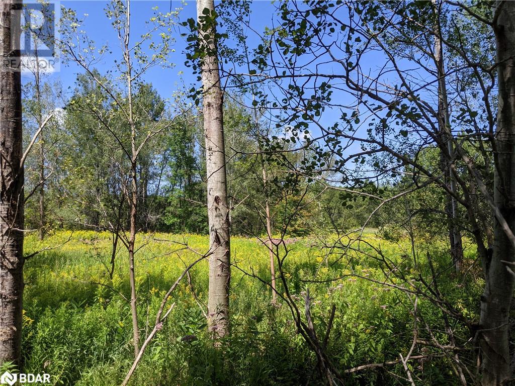 2361 George Johnston Road, Minesing, Ontario  L0L 1Y0 - Photo 11 - 40645705