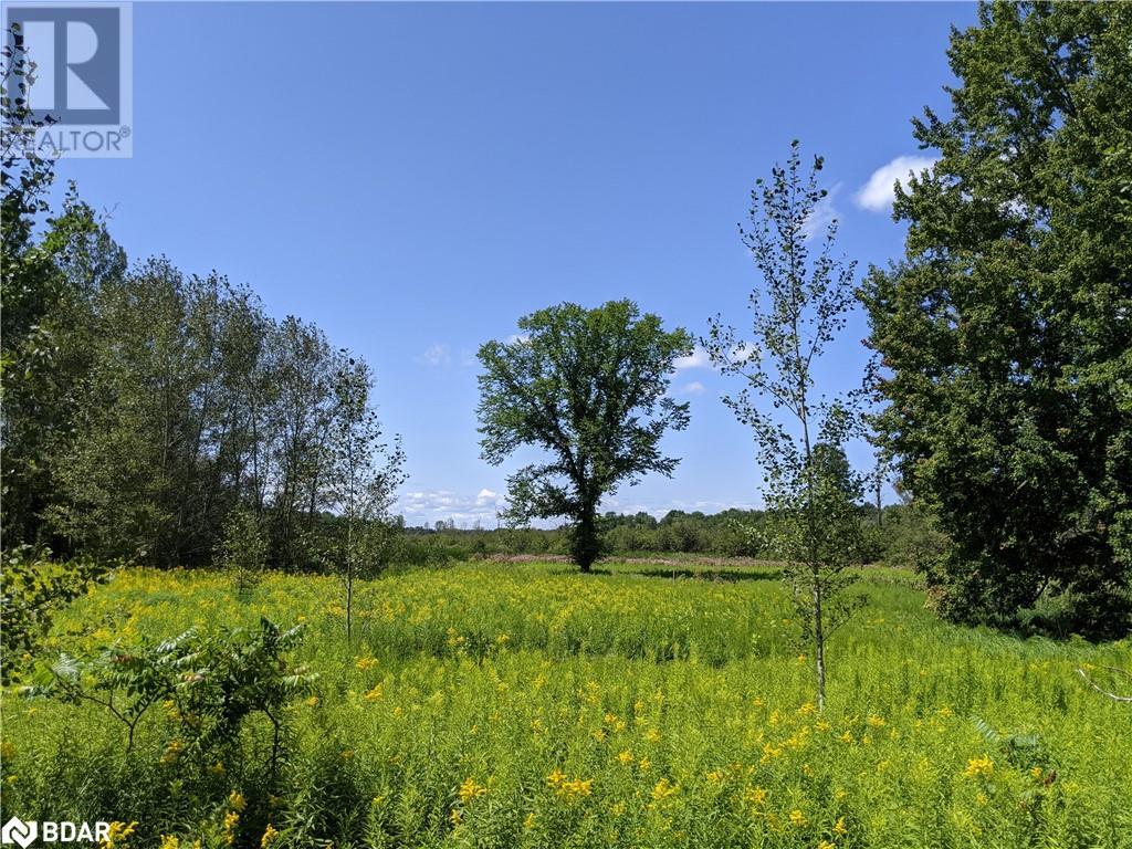 2361 George Johnston Road, Minesing, Ontario  L0L 1Y0 - Photo 12 - 40645705