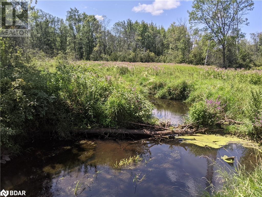 2361 George Johnston Road, Minesing, Ontario  L0L 1Y0 - Photo 16 - 40645705