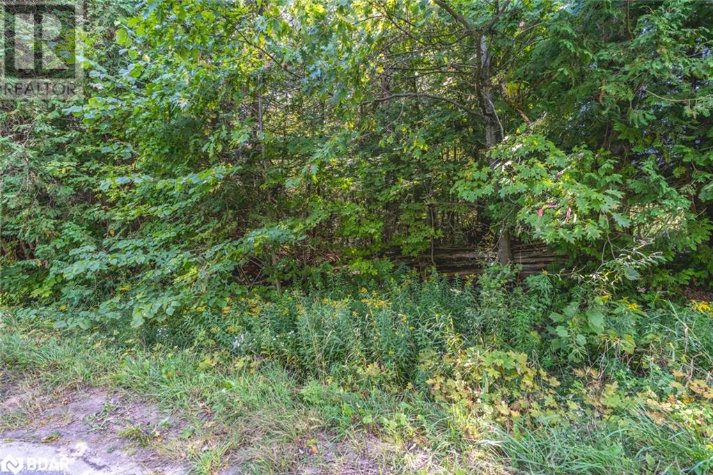 Lot 3 Line 8 N, Oro-Medonte, Ontario  L0K 1N0 - Photo 5 - 40645817