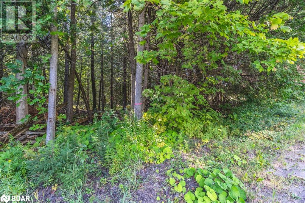 Lot 3 Line 8 N, Oro-Medonte, Ontario  L0K 1N0 - Photo 6 - 40645817