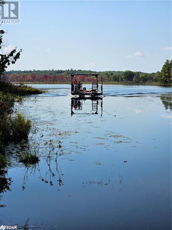 2035c Fifth Lake Road, Sharbot Lake, Ontario  K0H 2K0 - Photo 38 - 40648368