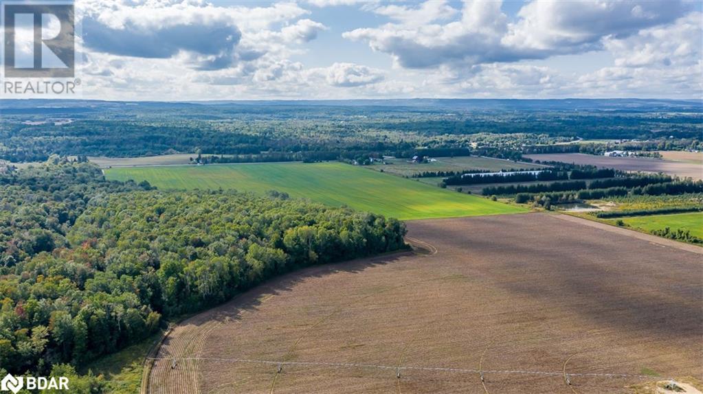 6639 County Rd 13, Adjala-Tosorontio, Ontario  L0M 1J0 - Photo 16 - 40653565