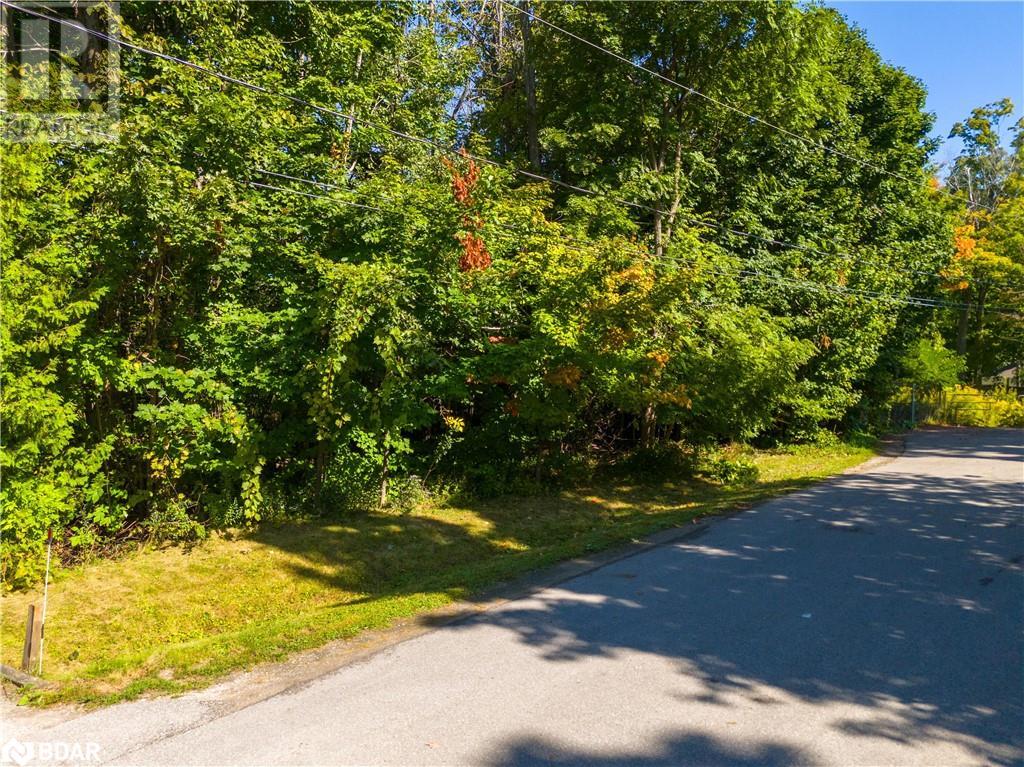 Lot 30 Purvis Street, Innisfil, Ontario  L9S 3K7 - Photo 18 - 40661096