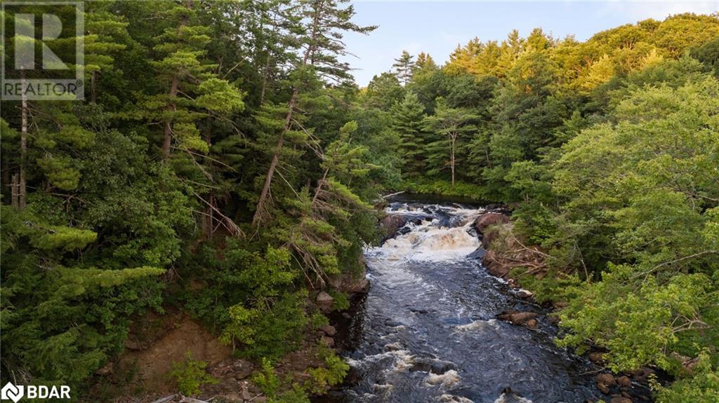 1401 Coopers Falls Road, Washago, Ontario  L0K 2B0 - Photo 2 - 40663544