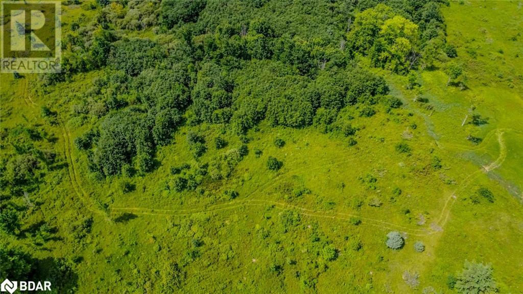 Lot 5 Concession 5, Carden, Ontario  K0M 2B0 - Photo 3 - 40665969