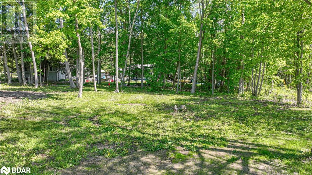 1366 Wilson Point Road, Orillia, Ontario  L3V 7E1 - Photo 6 - 40667808