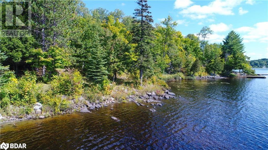 56 Dauncy Road, Magnetawan, Ontario  P0A 1P0 - Photo 3 - 40672206