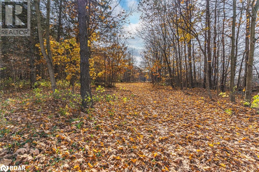 5909 Ebenezer Sideroad, Wyebridge, Ontario  L0K 2E1 - Photo 17 - 40675100